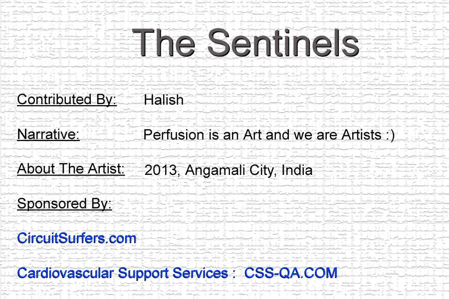 The Sentinels