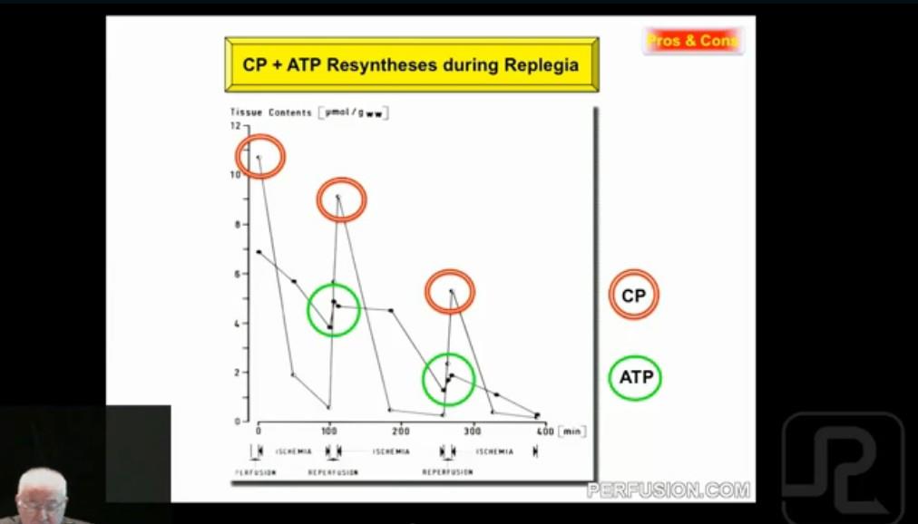 12 Recovery of atp lasts for days not minutes