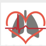 Nationwide Perfusion Care Services